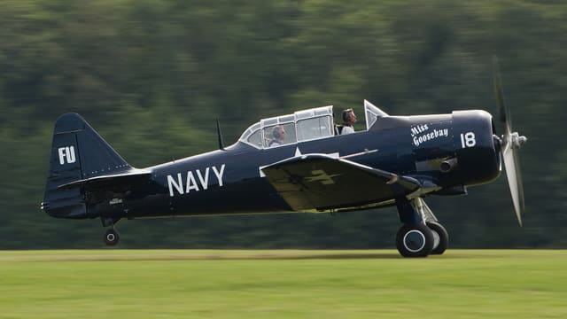N6593D - Warbird