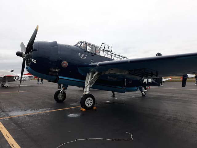 N85650 - Warbird