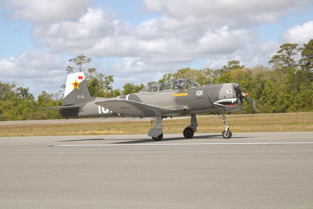 N101TT - Warbird