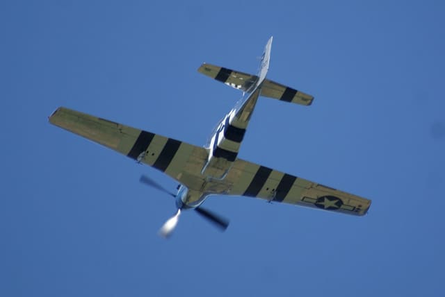  - Warbird