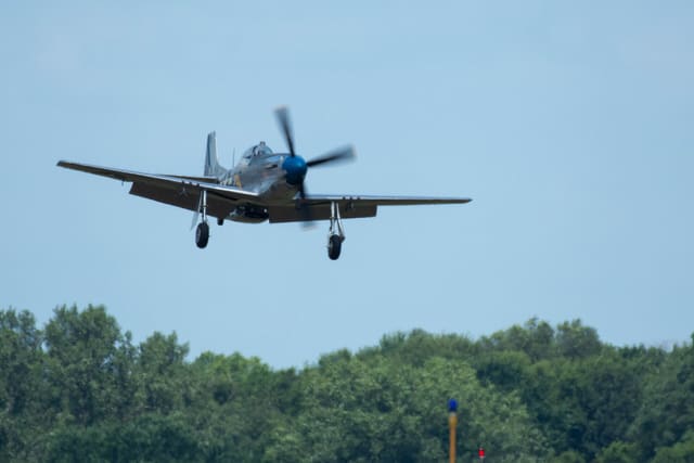 N1751D - Single-engine aircraft
