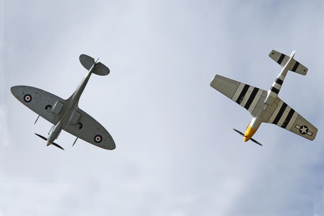  - Warbird
