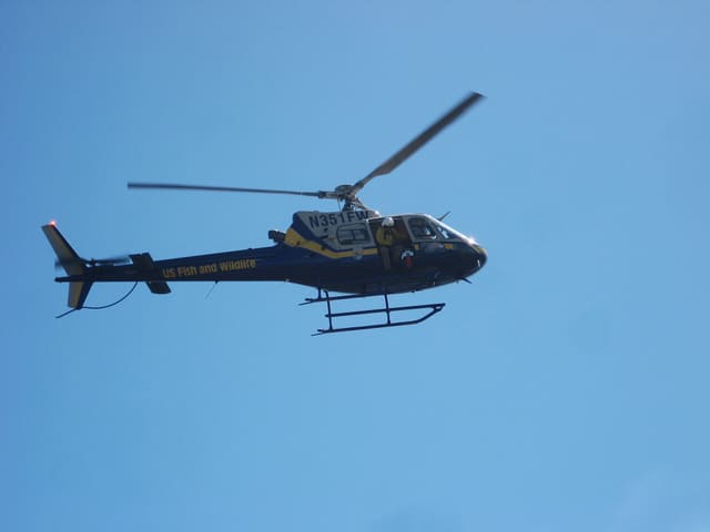N351FW - Helicopter