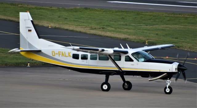 D-FALK - Cessna