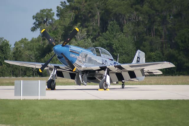  - Warbird