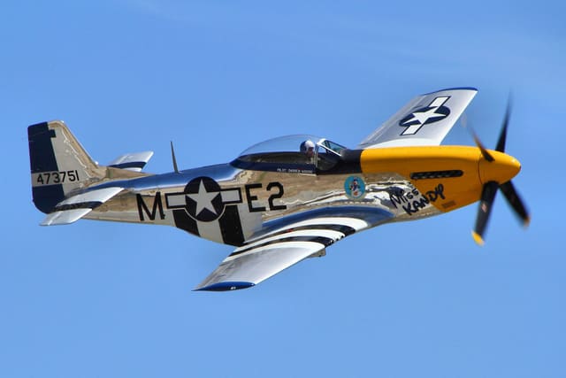  - Warbird