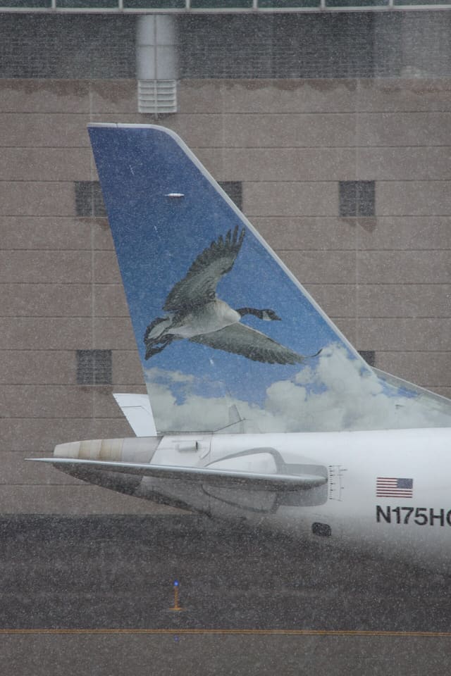 N175HQ - Aircraft