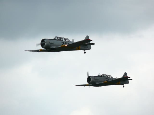 N4109C - Warbird