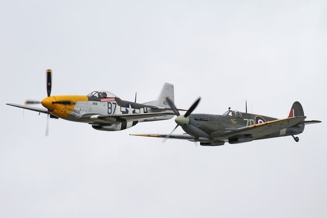  - Warbird