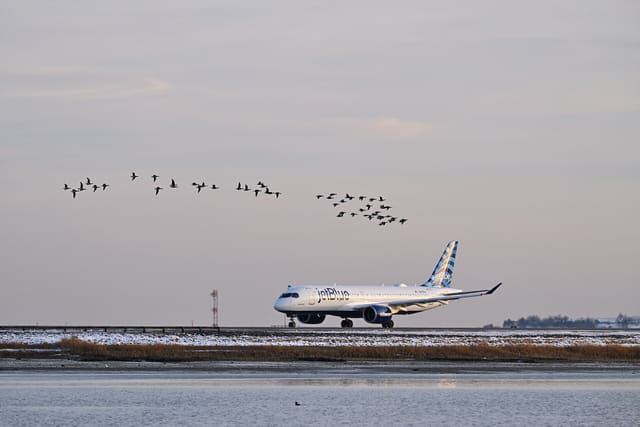 N3138J - Aircraft
