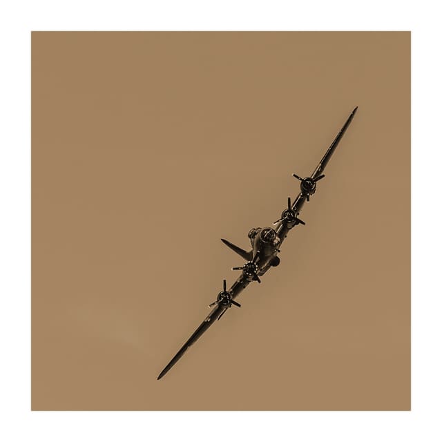  - Warbird