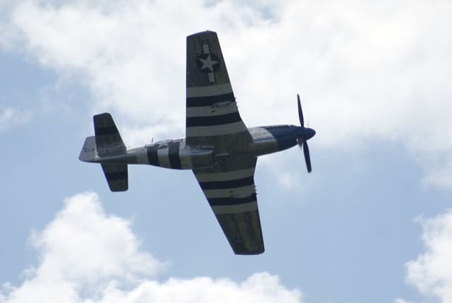  - Warbird