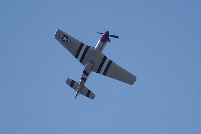  - Warbird