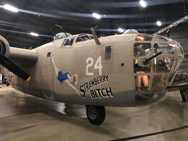  - Warbird