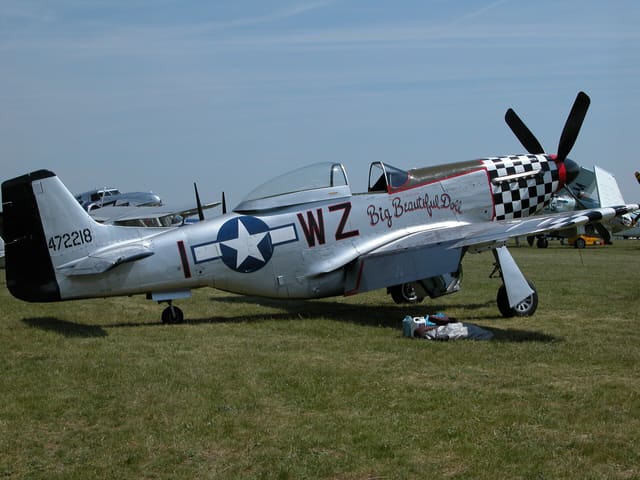  - Warbird