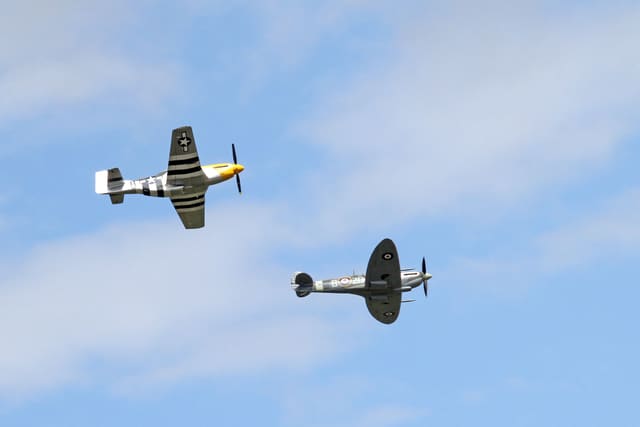  - Warbird