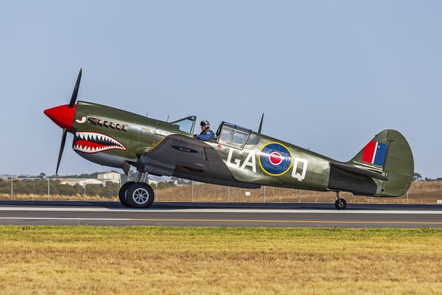  - Warbird