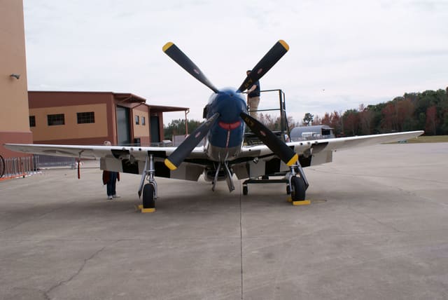  - Warbird