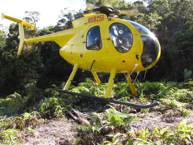 N58251 - Helicopter