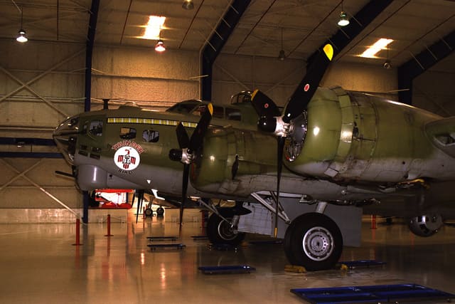  - Warbird