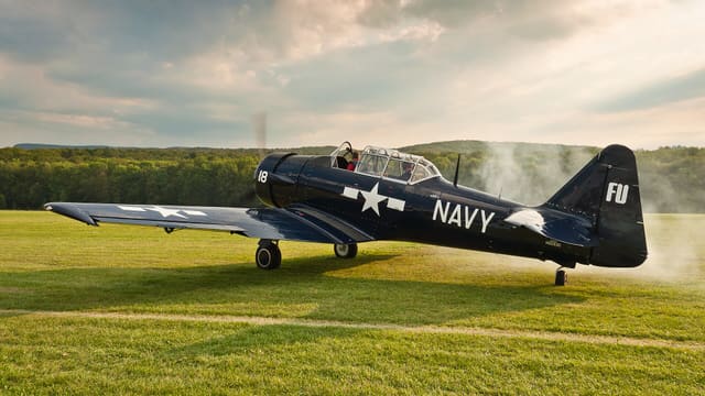 N6593D - Warbird
