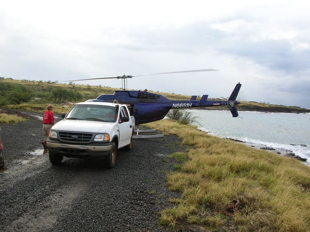 N6651H - Helicopter