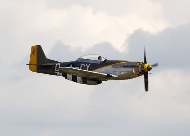 N251RJ - Warbird