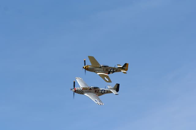  - Warbird