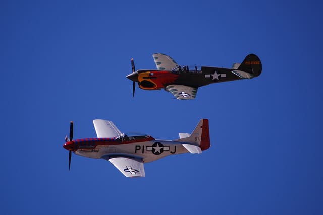 N1195N - Warbird