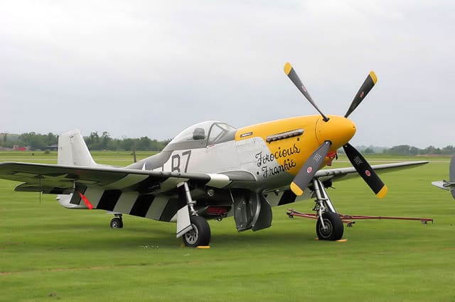  - Warbird