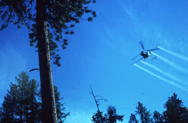 N47276 - Helicopter