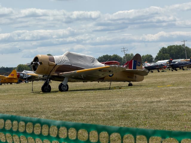 N800SH - 1943 North American AT-6D