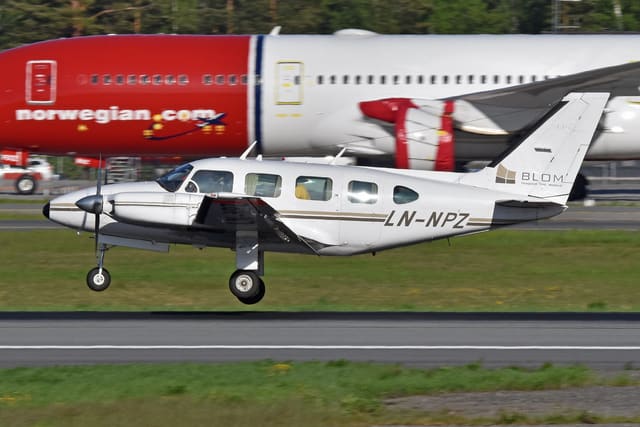 LN-NPZ - Piper