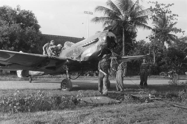  - Warbird