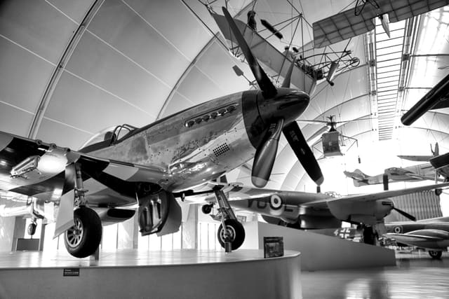  - Warbird