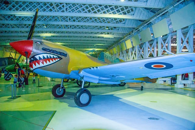  - Warbird