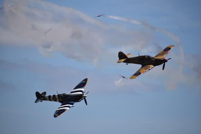  - Warbird