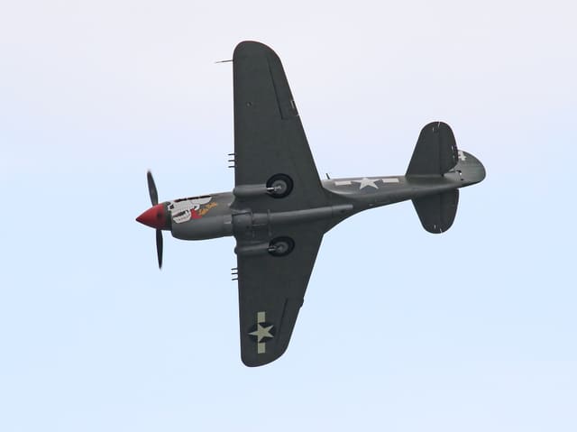  - Warbird