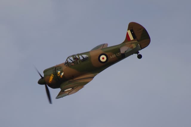  - Warbird