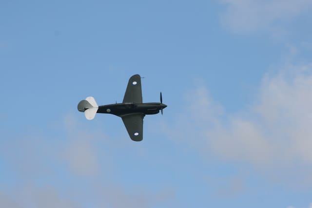  - Warbird