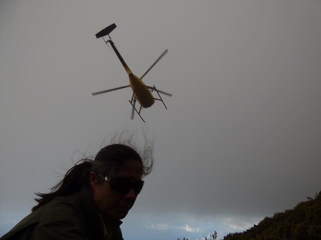 N809WA - Helicopter