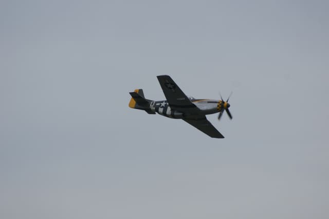 N251RJ - Warbird