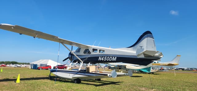 N450DM - De Havilland DHC-2
