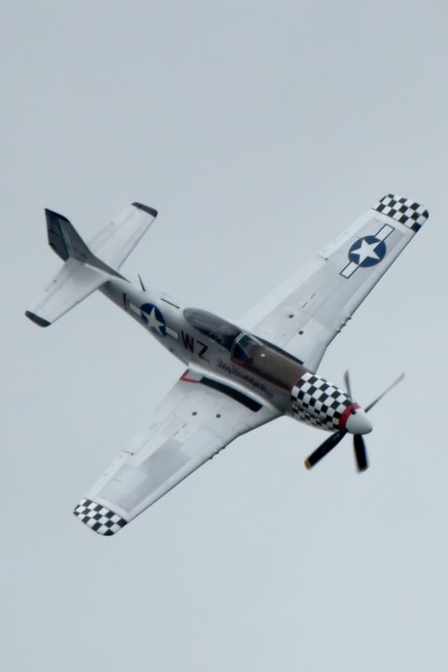  - Warbird