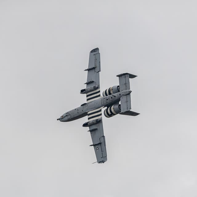  - Warbird