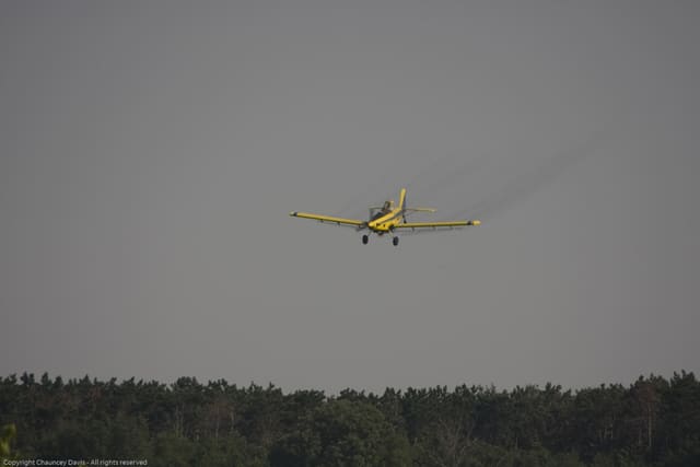 N1531G - Single-engine aircraft