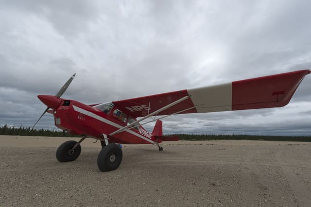 N695AC - Single-engine aircraft