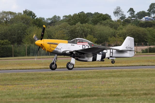  - Warbird