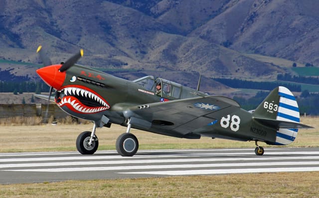  - Warbird