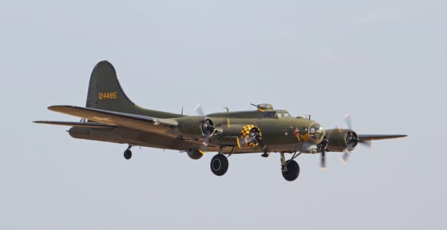  - Warbird